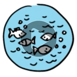 Vidéo explicative – HUB'eau BRGM